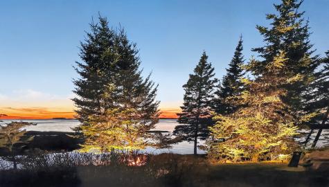 455 Black Duck Cove Road Beals ME 04611
