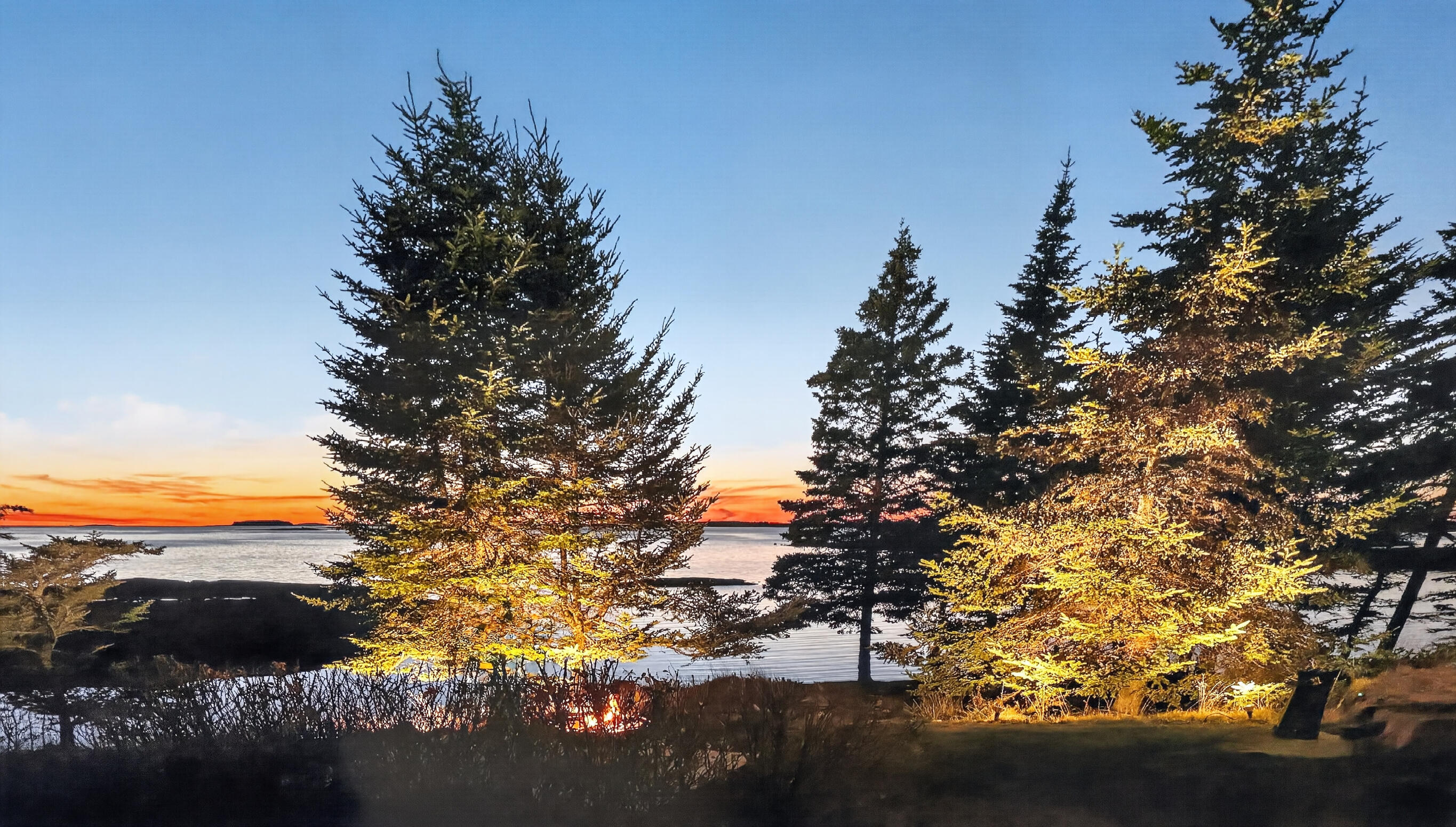 455 Black Duck Cove Road Beals ME 04611