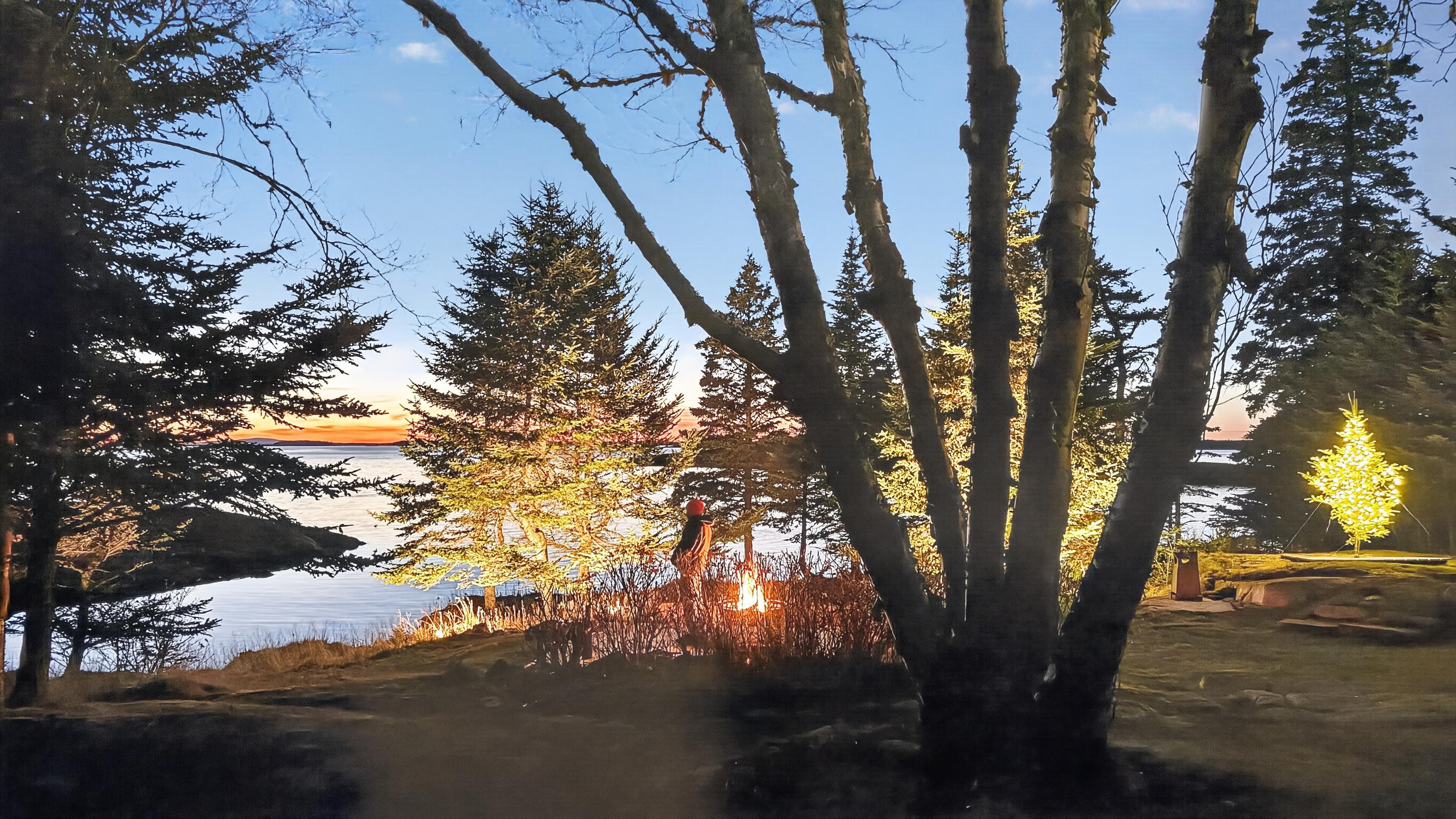 455 Black Duck Cove Road Beals ME 04611