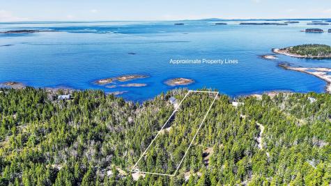 455 Black Duck Cove Road Beals ME 04611