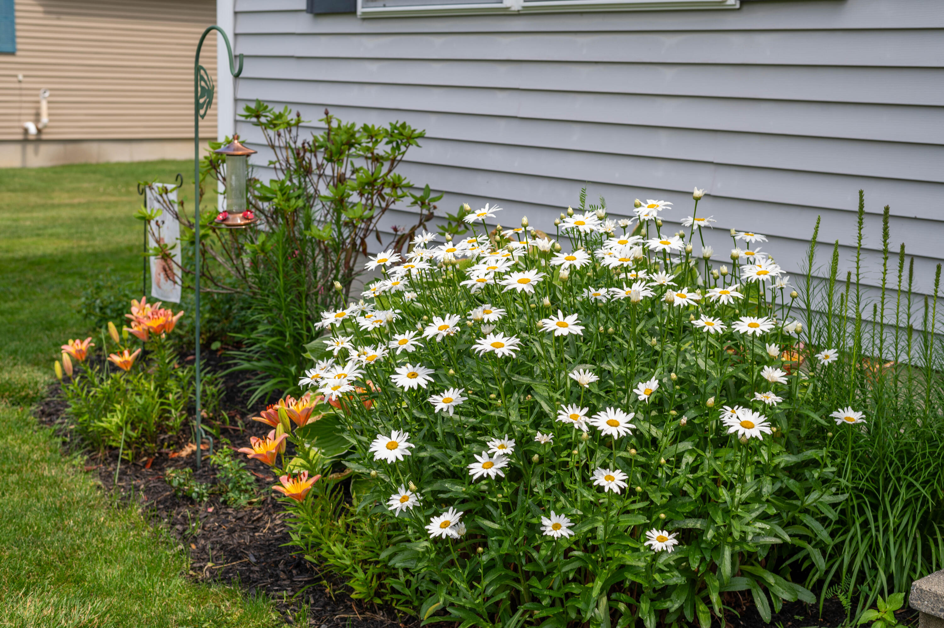 60 Oak Grove Drive Brewer ME 04412