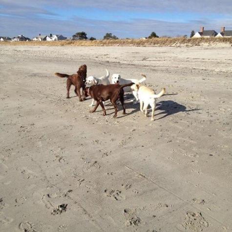 20 Fenderson Road Saco ME 04072