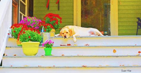 20 Fenderson Road Saco ME 04072