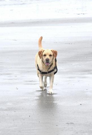 20 Fenderson Road Saco ME 04072