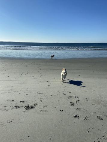 20 Fenderson Road Saco ME 04072