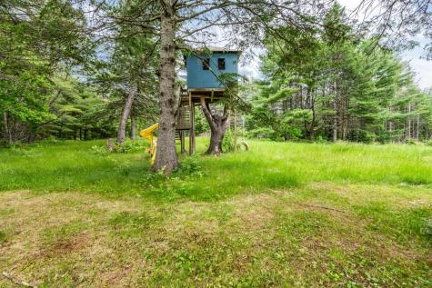 279 Back Ridge Road Orland ME 04472