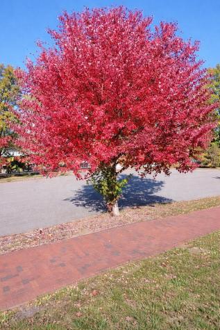 36 Colonial Road Portland ME 04102