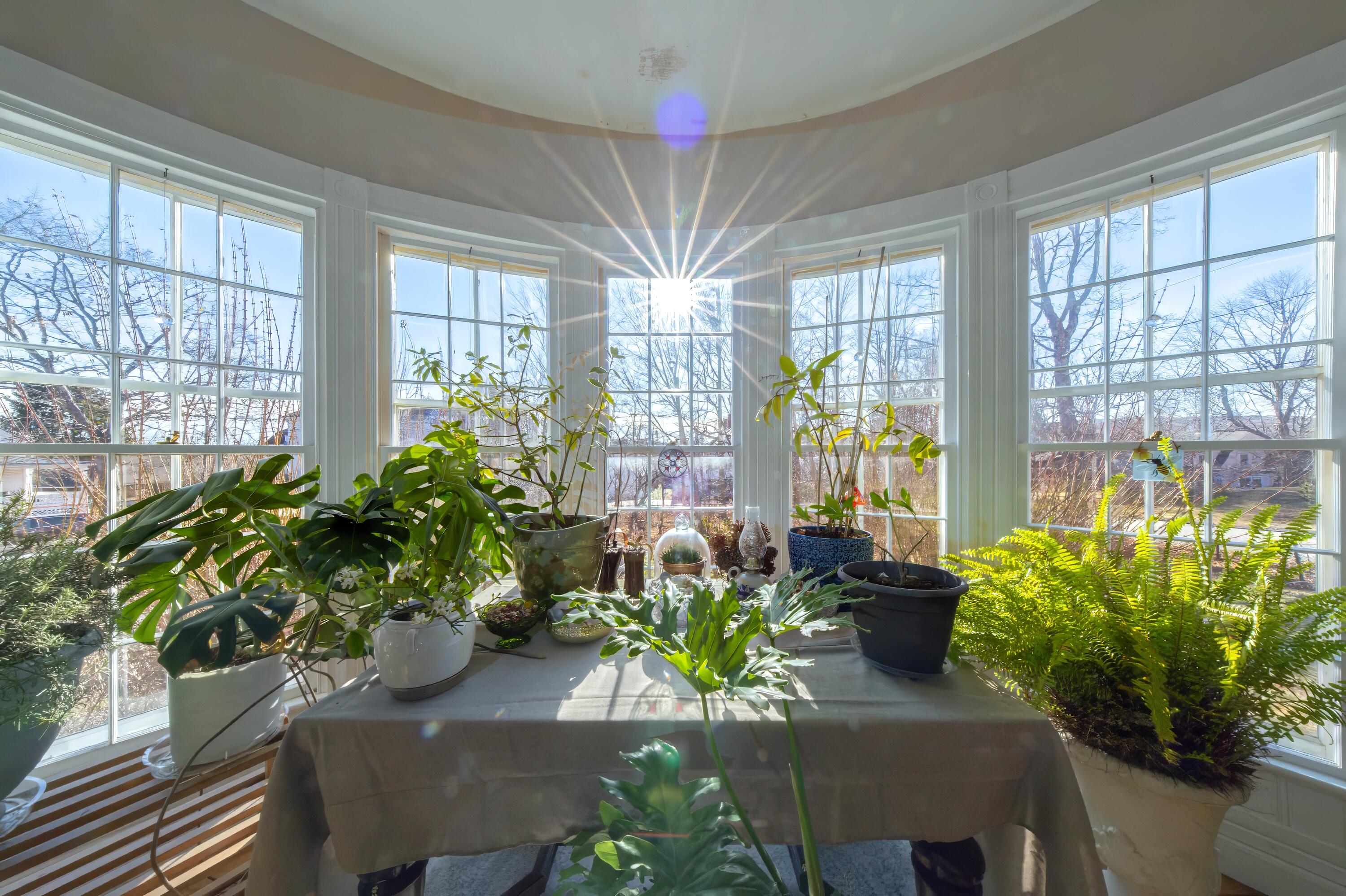 119 School Street Bucksport ME 04416