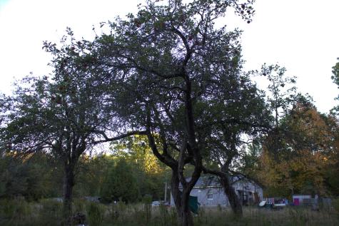 926 Tunk Lake Road Sullivan ME 04664