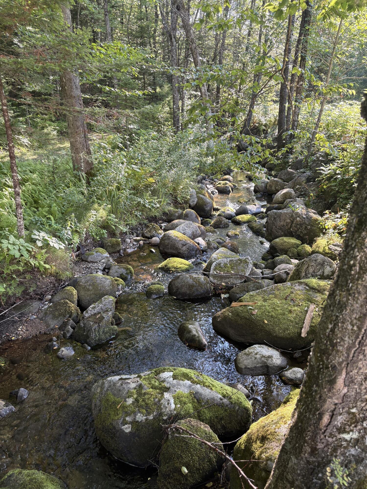 108 Coburn Brook Road Rumford ME 04276