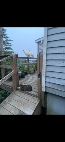 Tbd Mt Jefferson Heights Lee ME 04455
