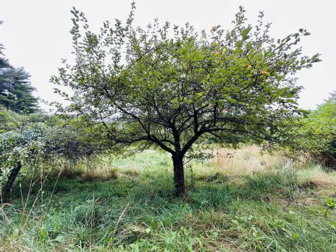 404 Embden Pond Road Anson ME 04958