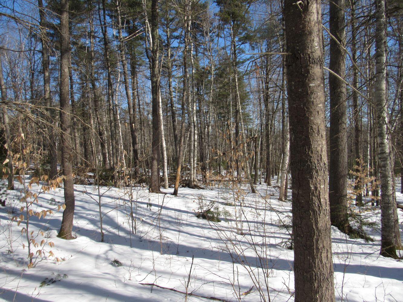 277 N Pond Road Rome ME 04963