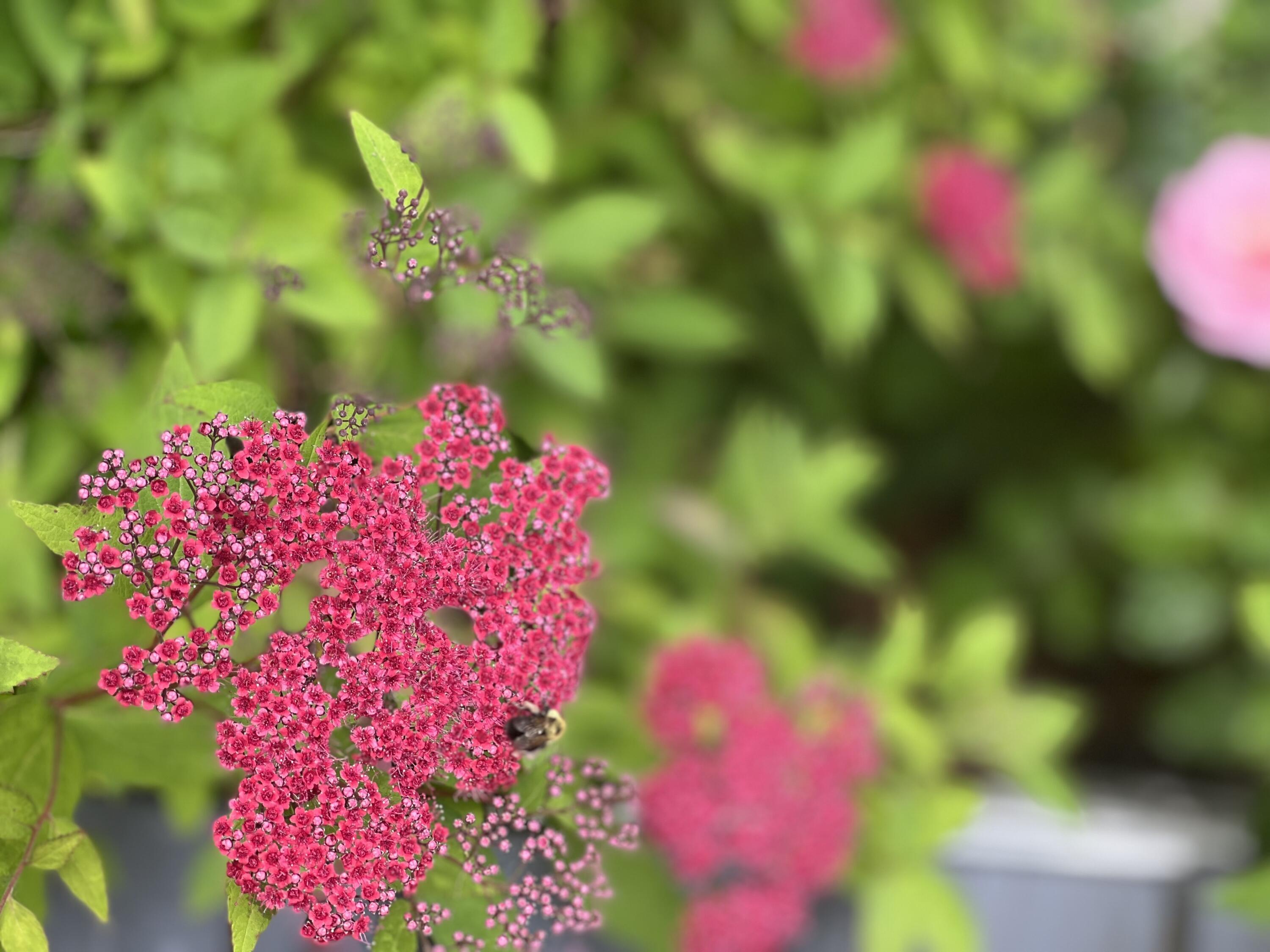 36 Greenlaw District Road Deer Isle ME 04627