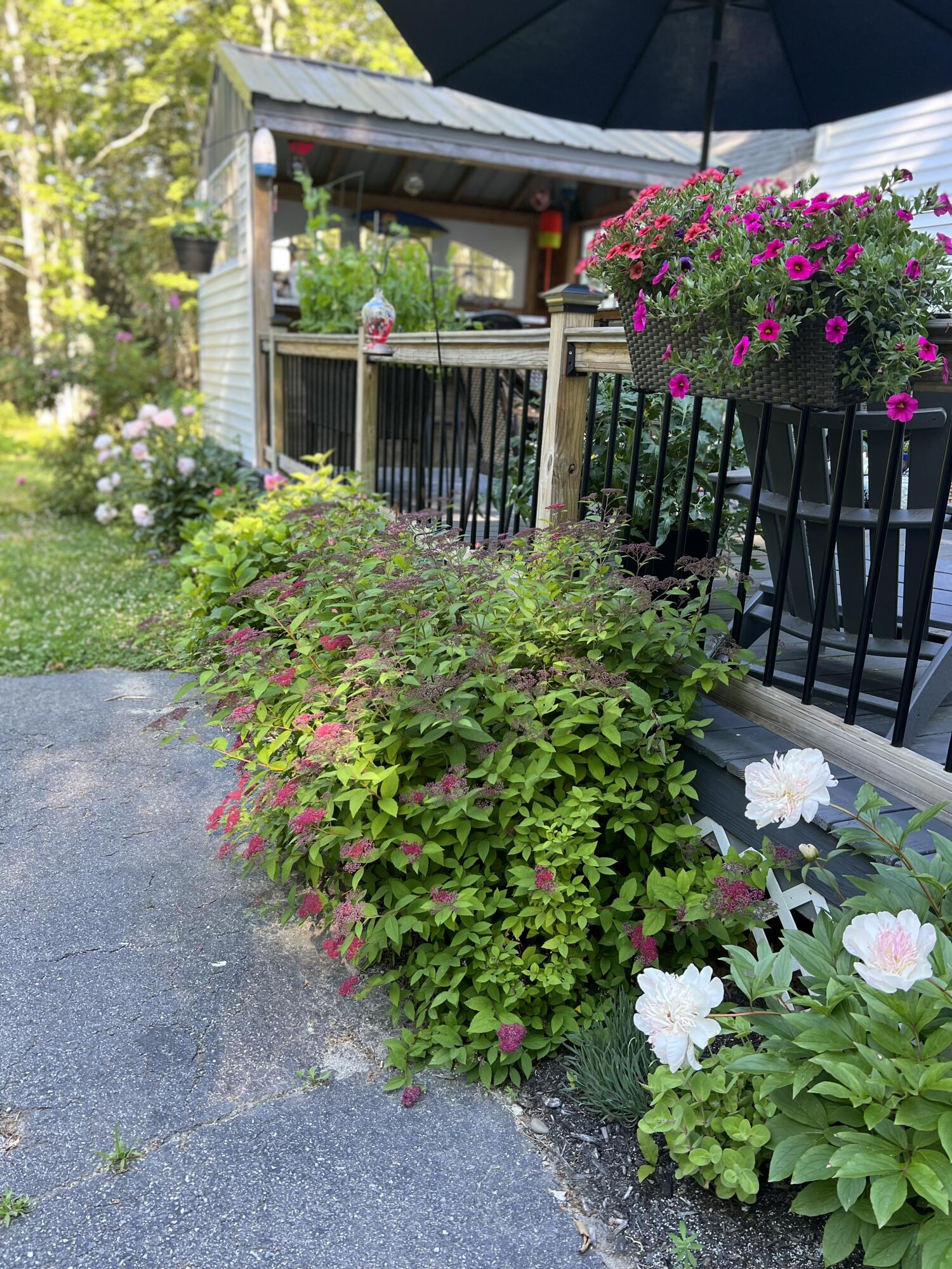 36 Greenlaw District Road Deer Isle ME 04627