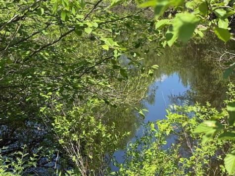 203 Beans Corner Road New Sharon ME 04955