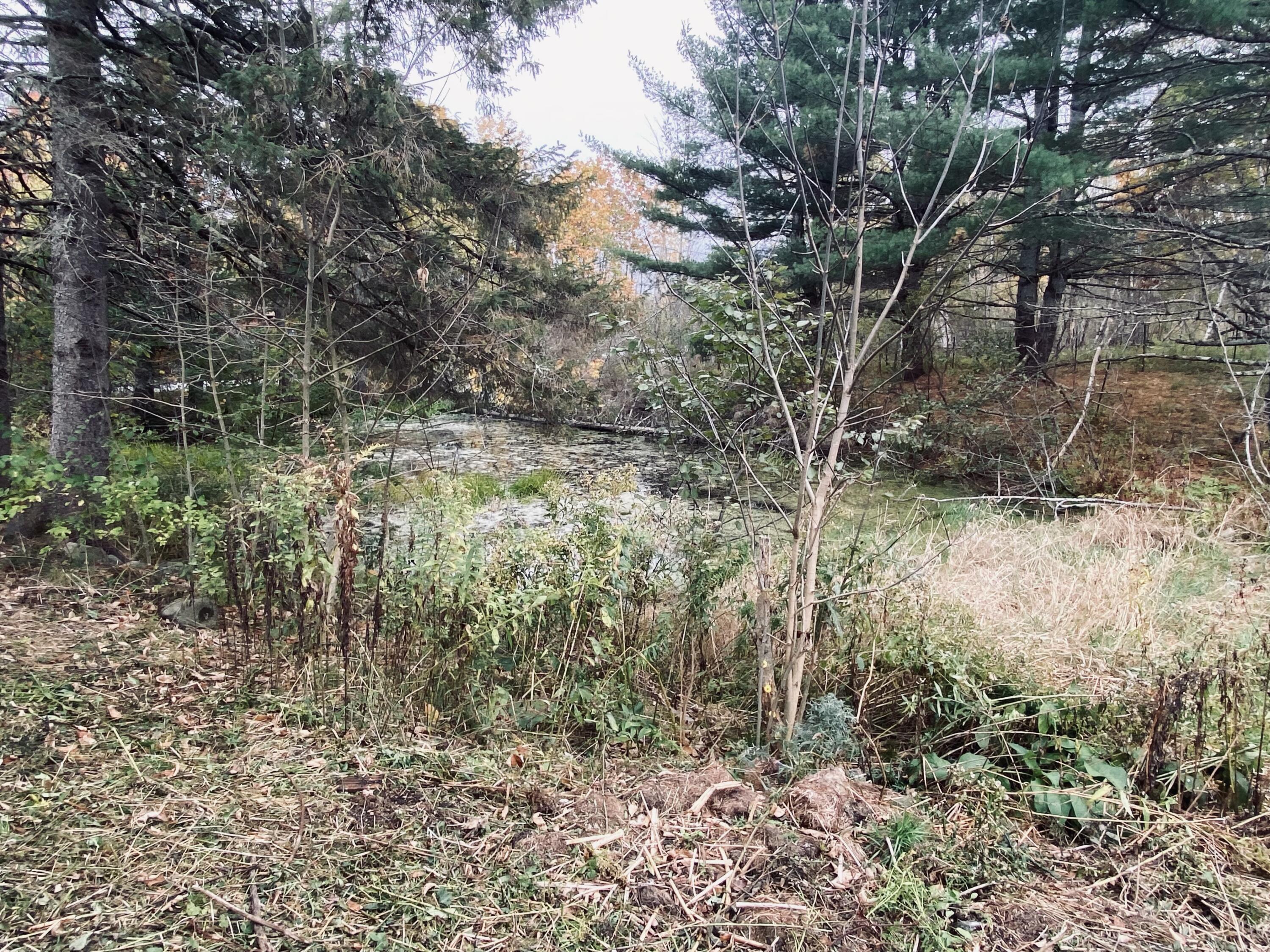 72 Clark Road Winterport ME 04496