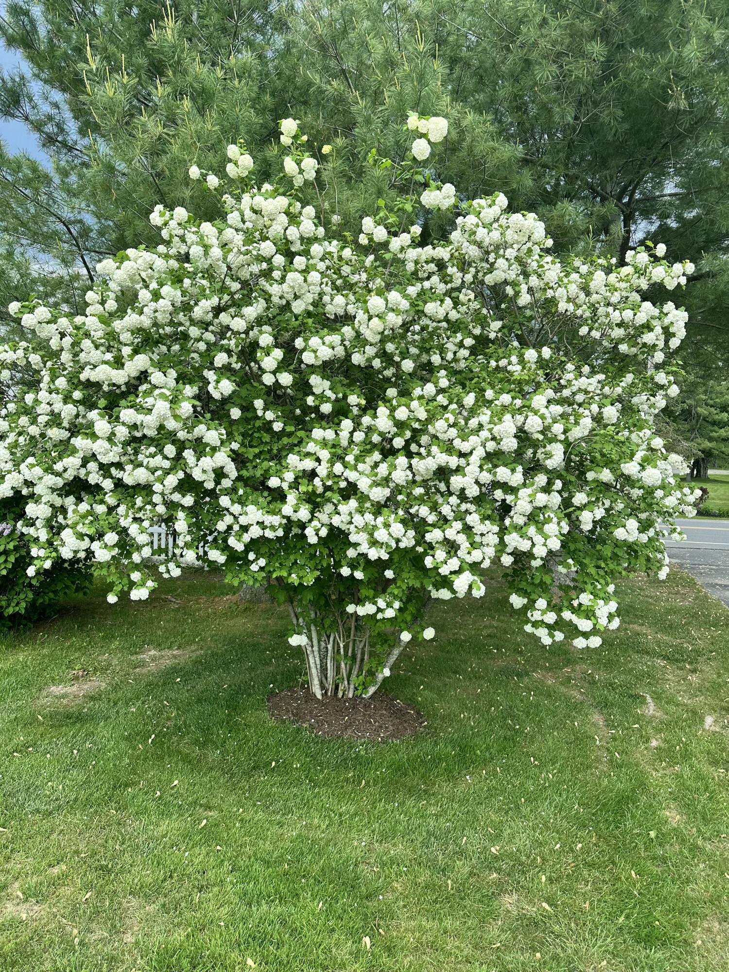 976 Essex Street Bangor ME 04401