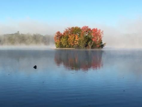 56 Qualey Road Gray ME 04039