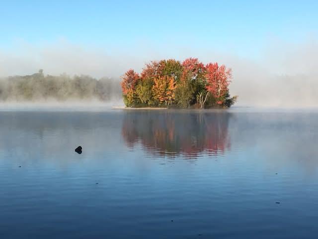 56 Qualey Road Gray ME 04039