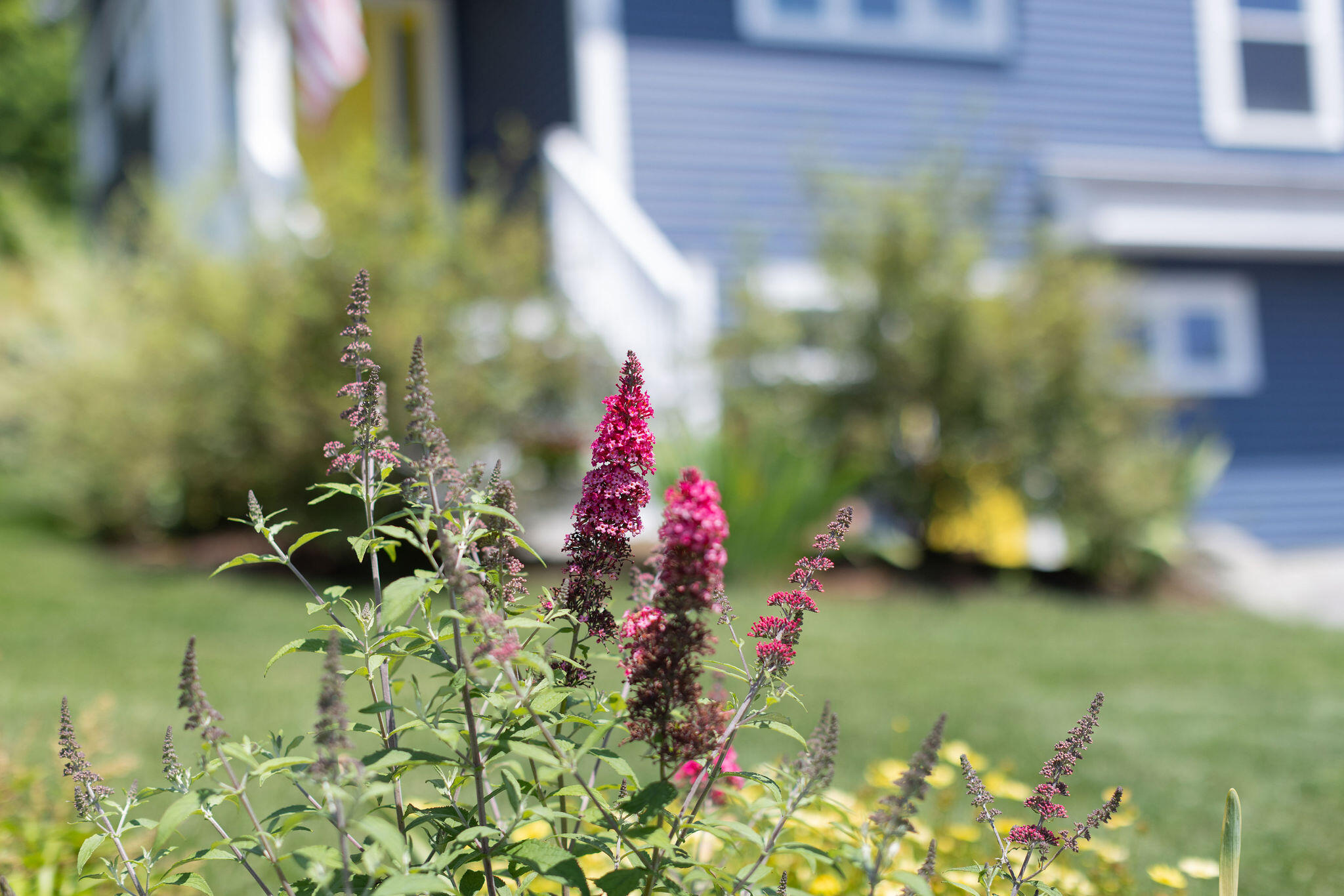 19 Bittersweet Lane South Berwick ME 03908