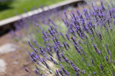 19 Bittersweet Lane South Berwick ME 03908