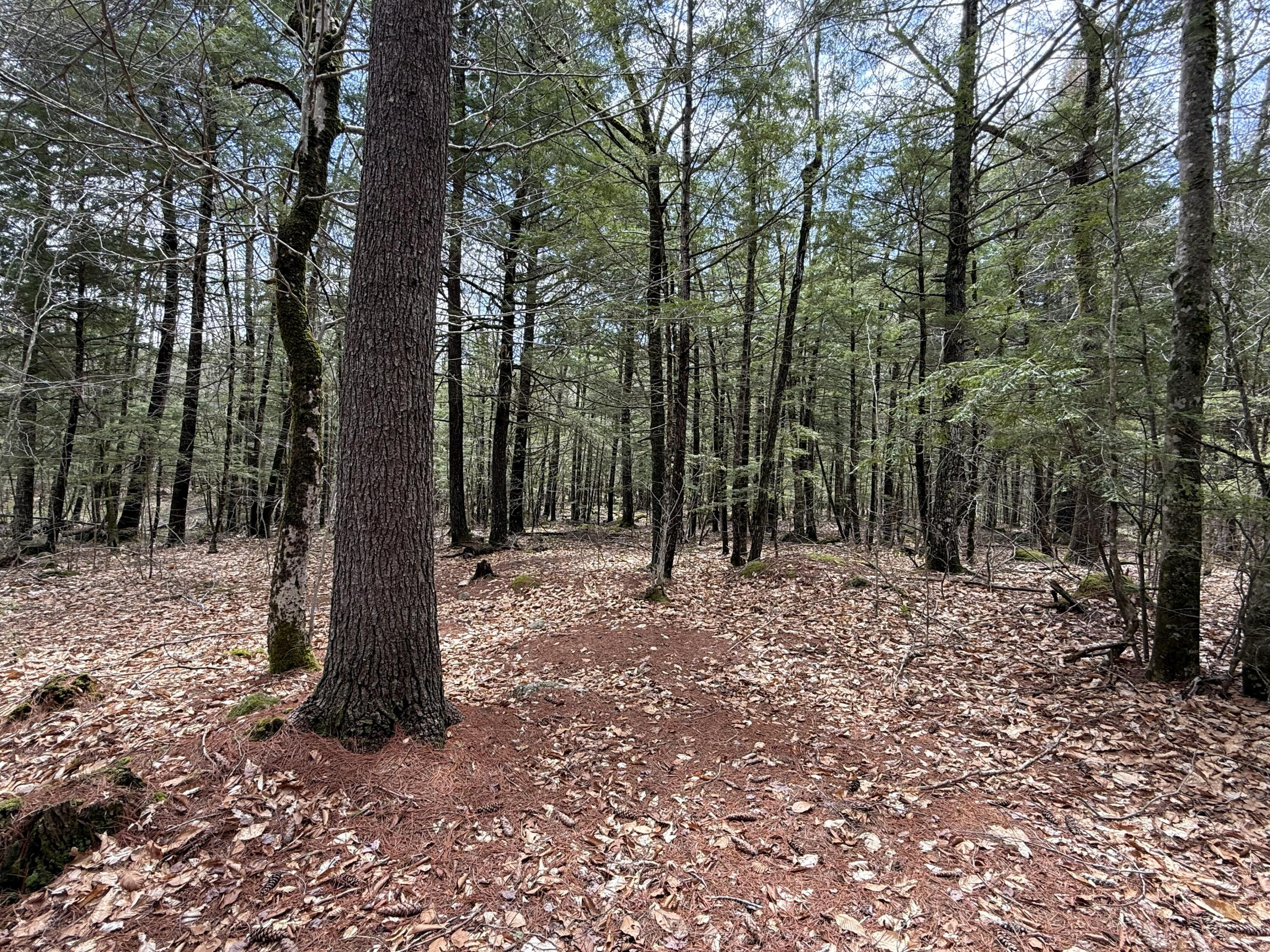 48 Highland Ridge Hollis ME 04042