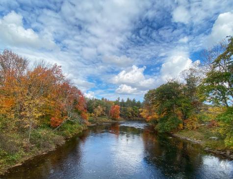 598 S Hiram Road Hiram ME 04041