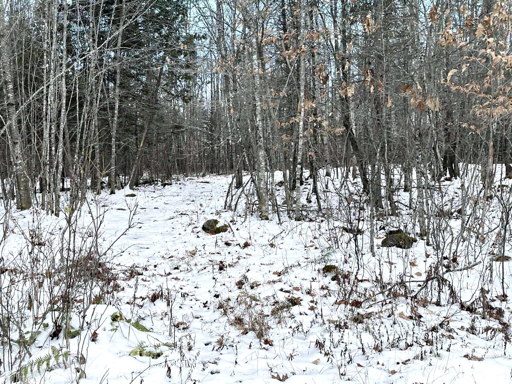 728 Sebec Village Road Sebec ME 04481