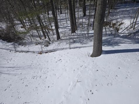 38 Saint Patrick Avenue Lewiston ME 04240