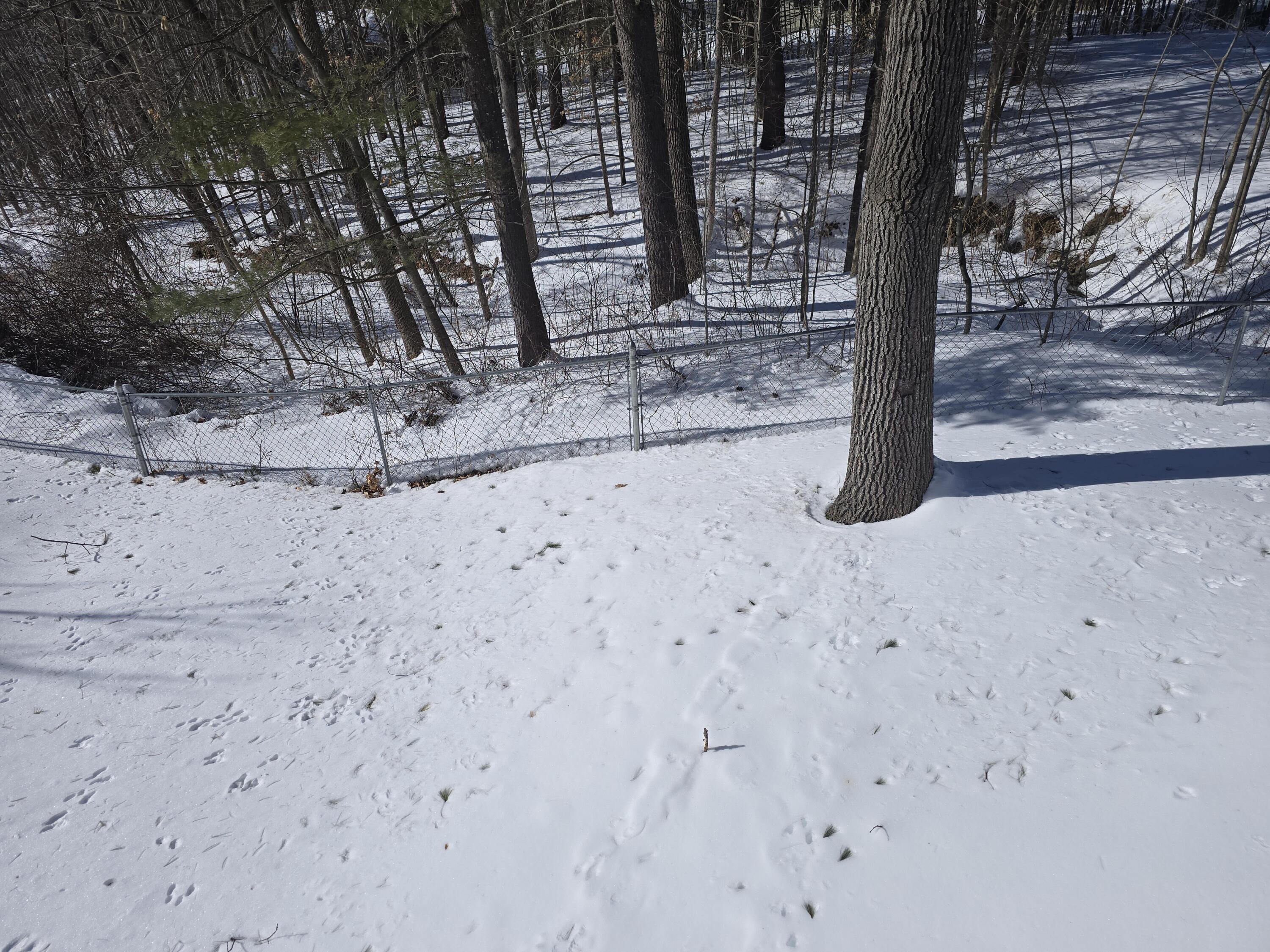 38 Saint Patrick Avenue Lewiston ME 04240