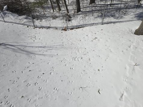 38 Saint Patrick Avenue Lewiston ME 04240