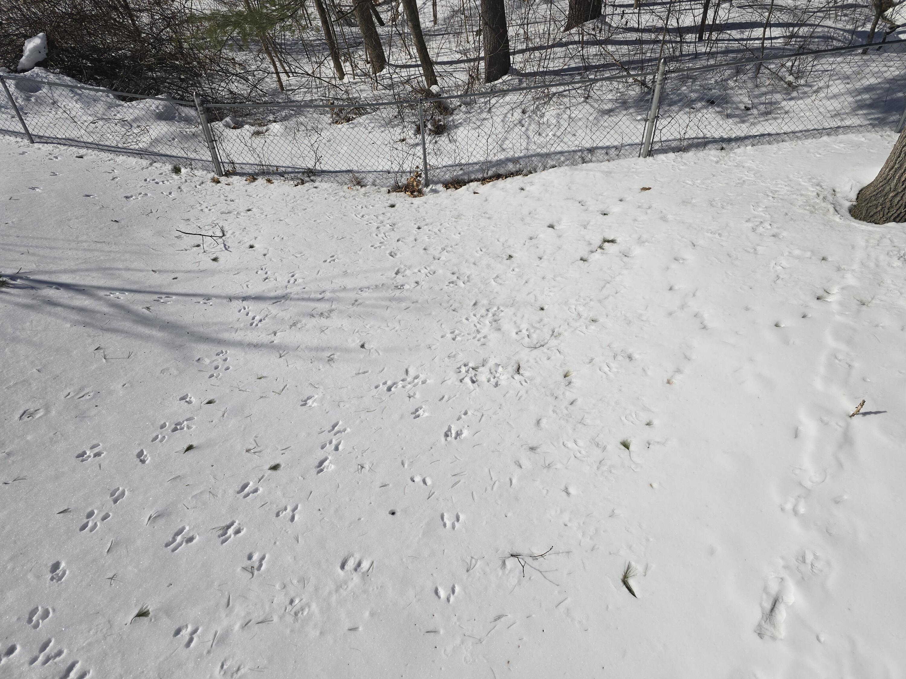 38 Saint Patrick Avenue Lewiston ME 04240