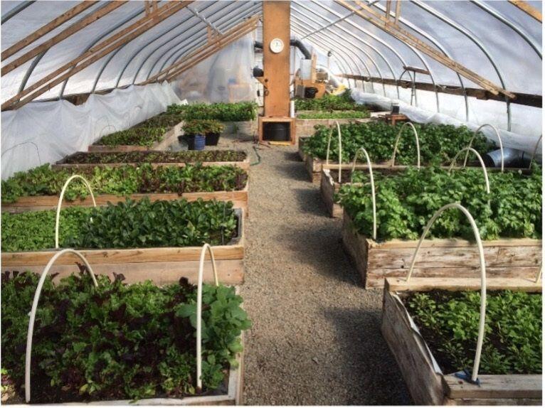 387 Smith Ridge Road Dennysville ME 04628