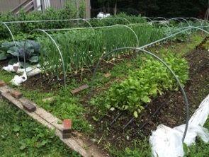 387 Smith Ridge Road Dennysville ME 04628