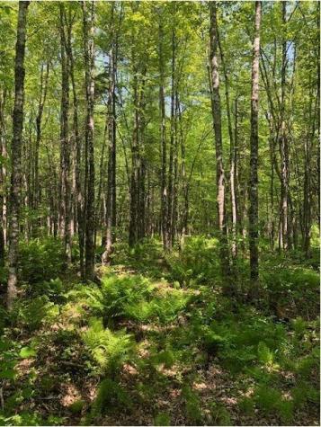 387 Smith Ridge Road Dennysville ME 04628