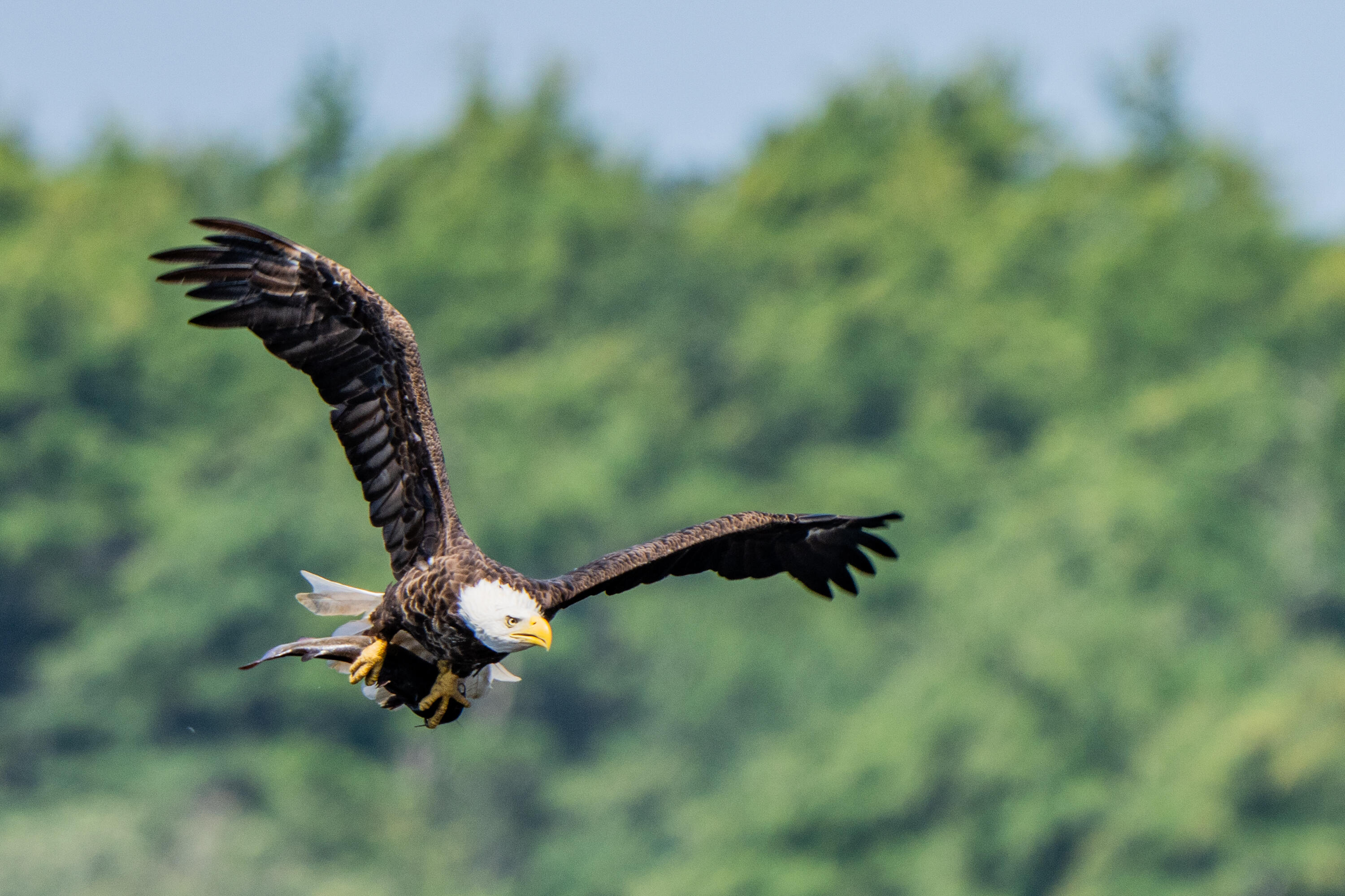 46 River Edge Drive Woolwich ME 04579