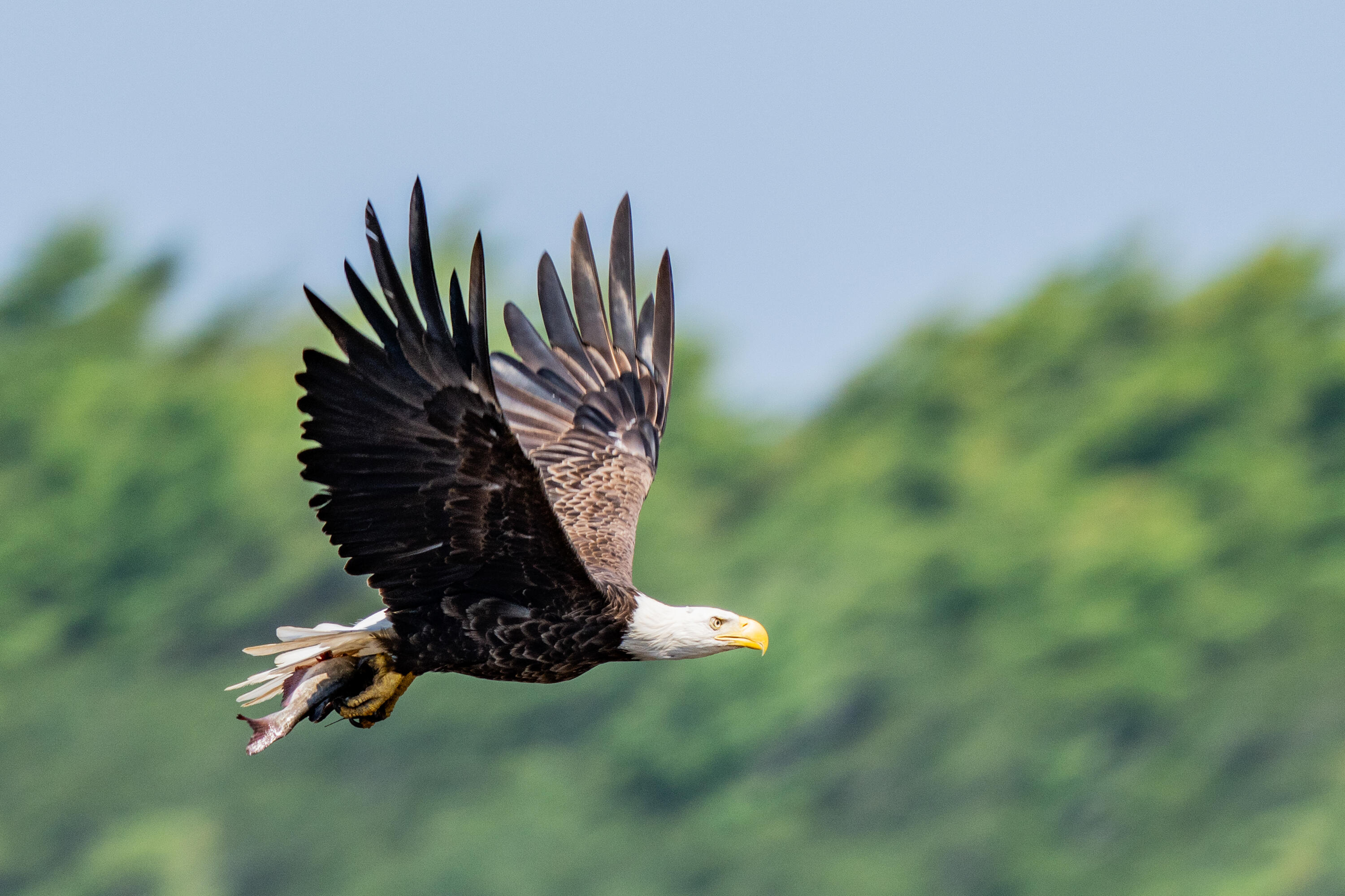 46 River Edge Drive Woolwich ME 04579