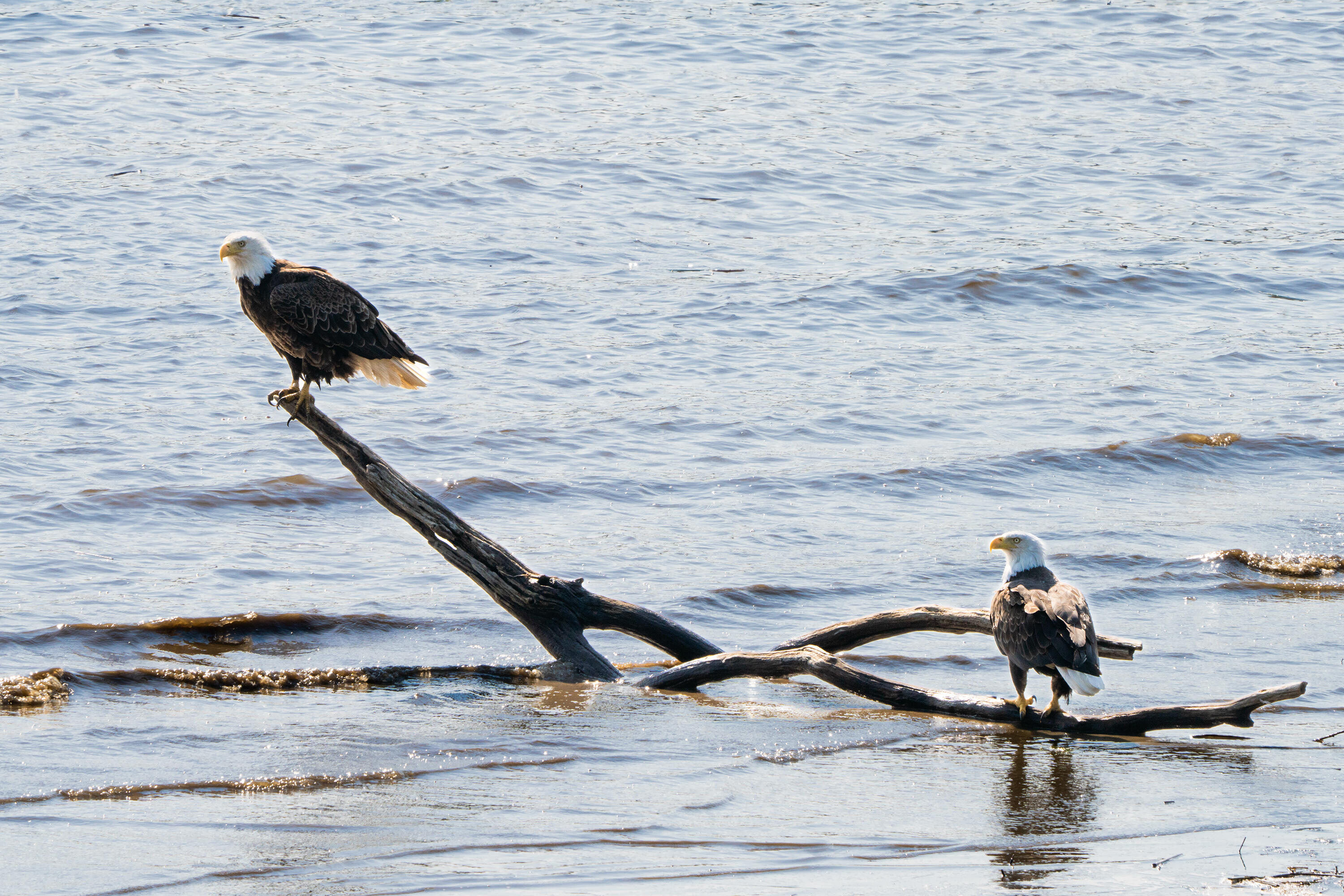 46 River Edge Drive Woolwich ME 04579