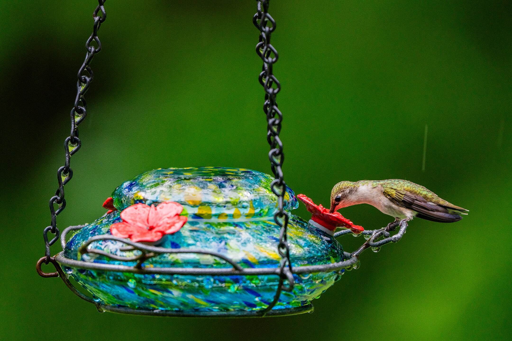 46 River Edge Drive Woolwich ME 04579