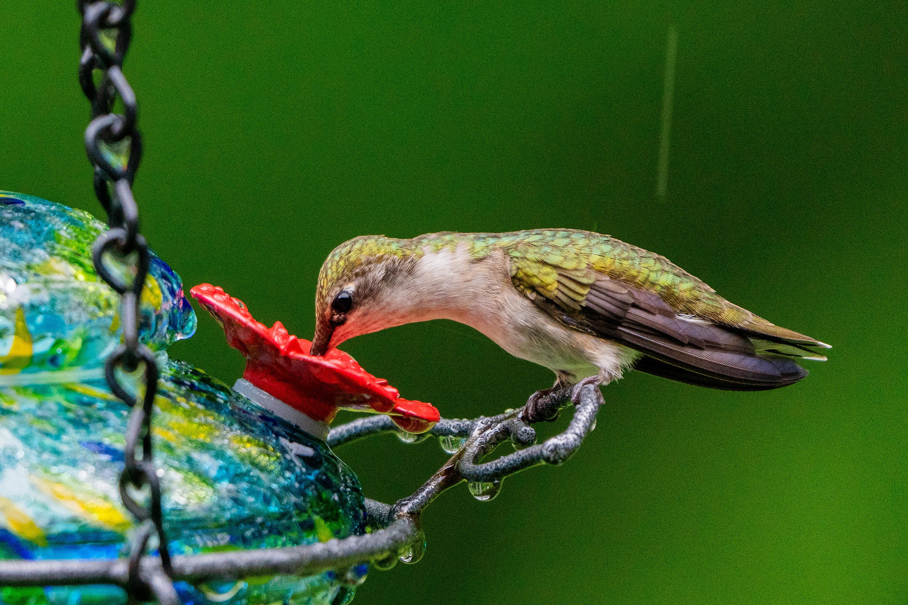 46 River Edge Drive Woolwich ME 04579