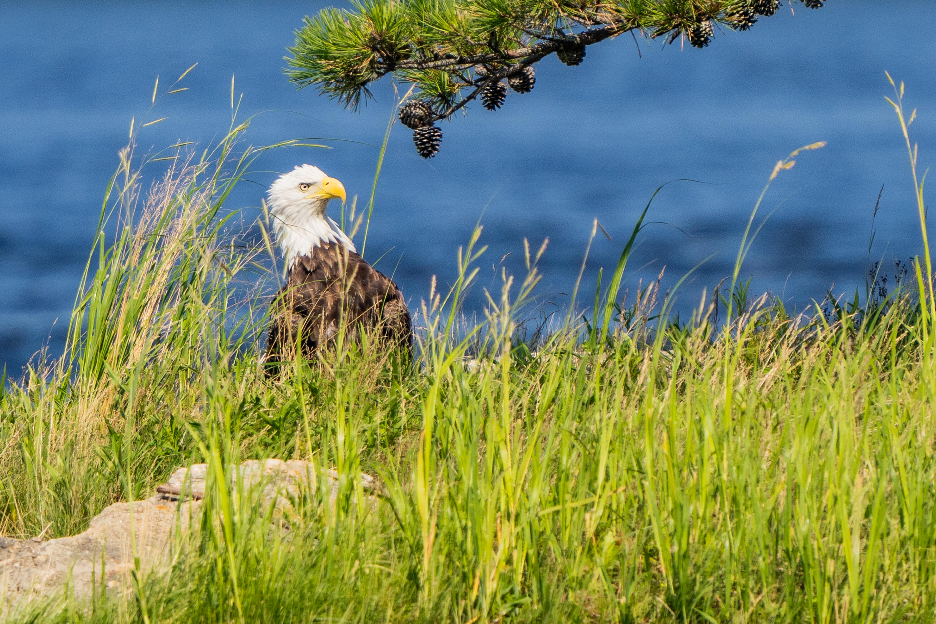 46 River Edge Drive Woolwich ME 04579