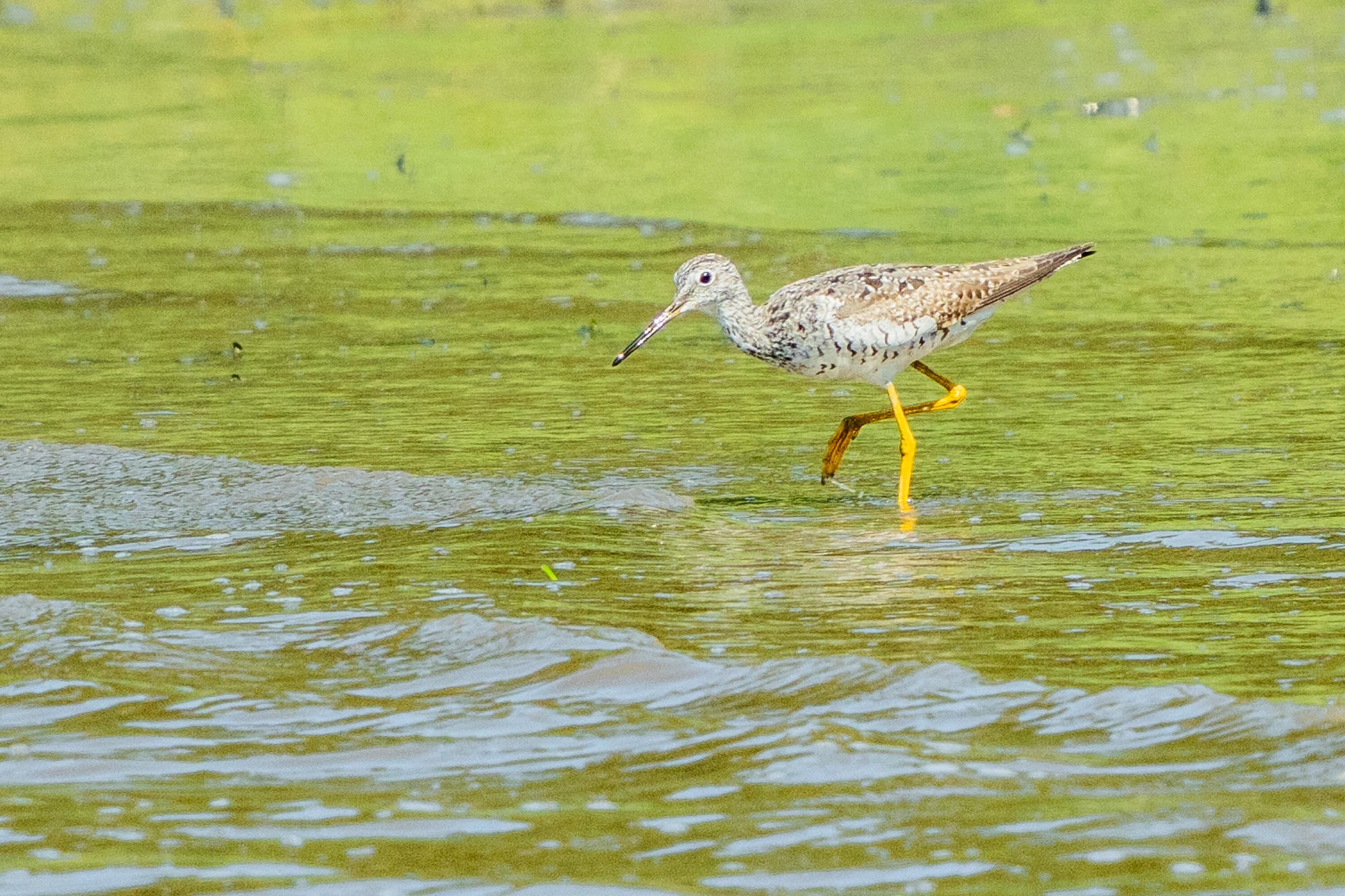 46 River Edge Drive Woolwich ME 04579