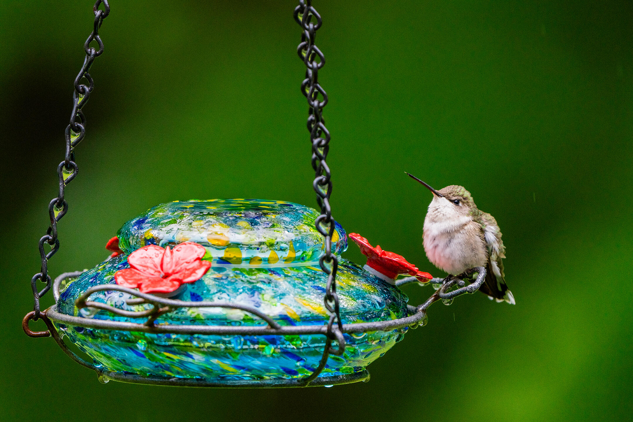 46 River Edge Drive Woolwich ME 04579