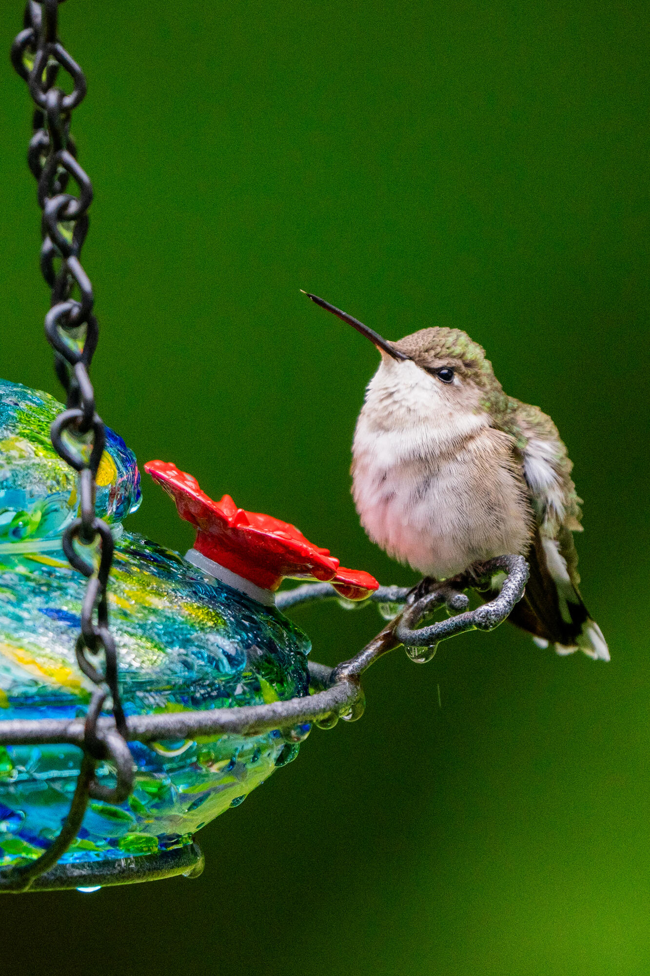 46 River Edge Drive Woolwich ME 04579