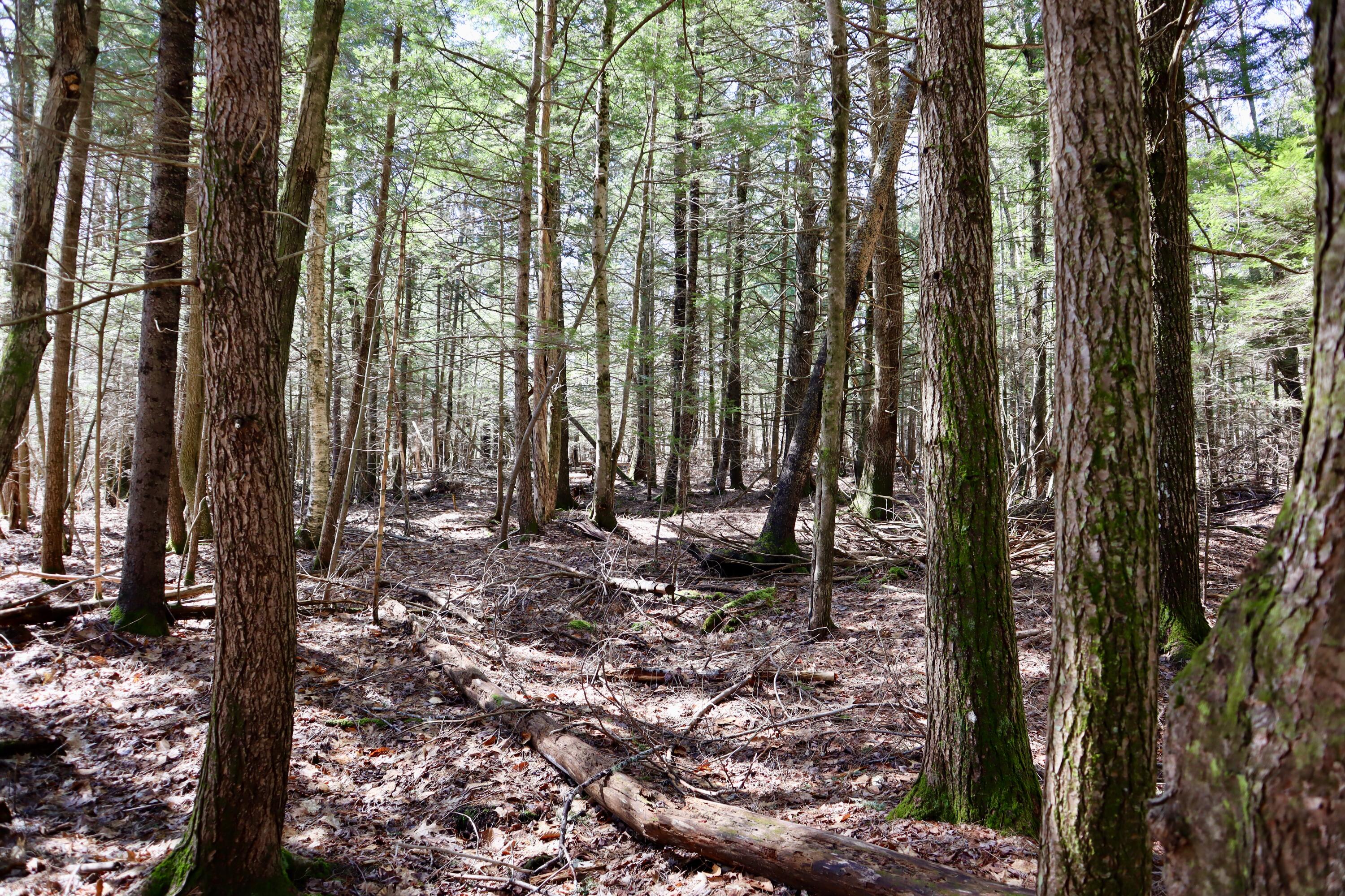218 Plummer Road Richmond ME 04357