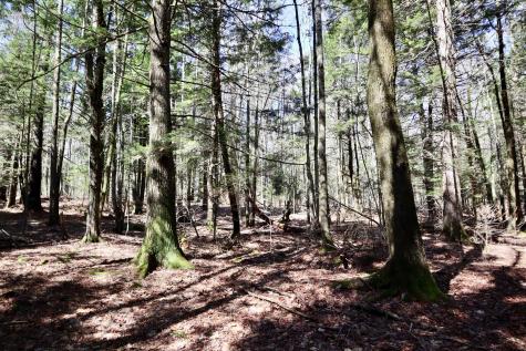 218 Plummer Road Richmond ME 04357