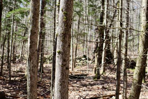 218 Plummer Road Richmond ME 04357