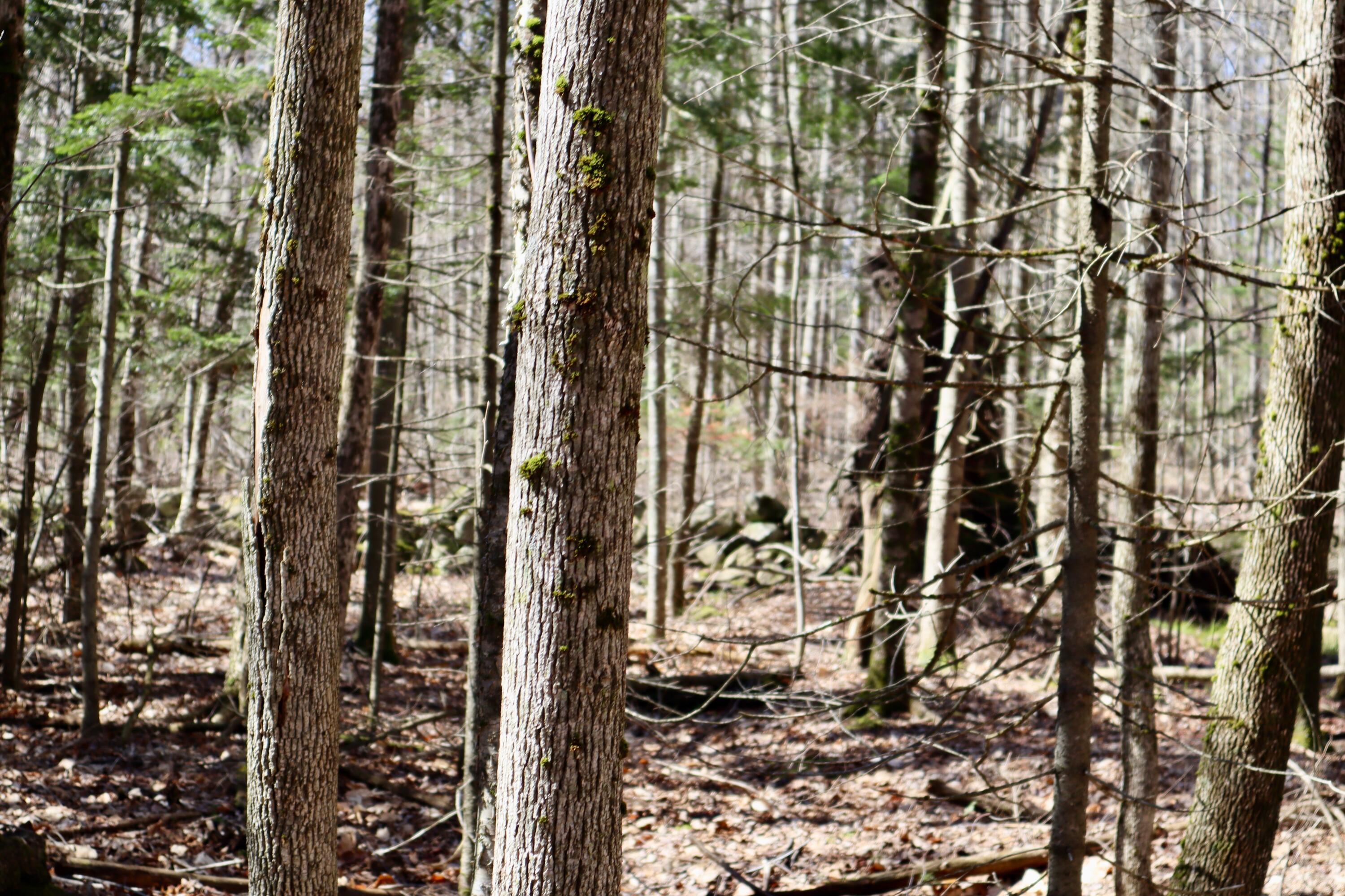 218 Plummer Road Richmond ME 04357