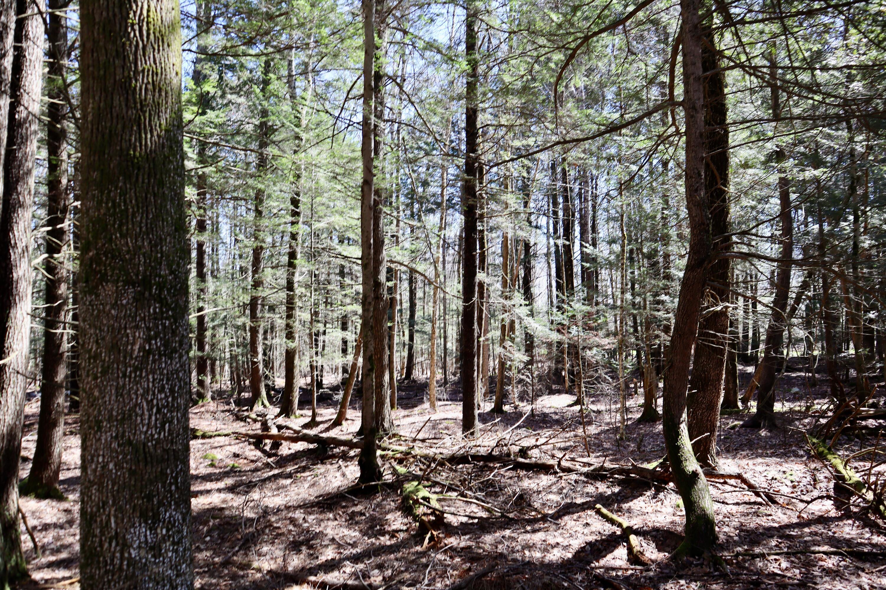 218 Plummer Road Richmond ME 04357